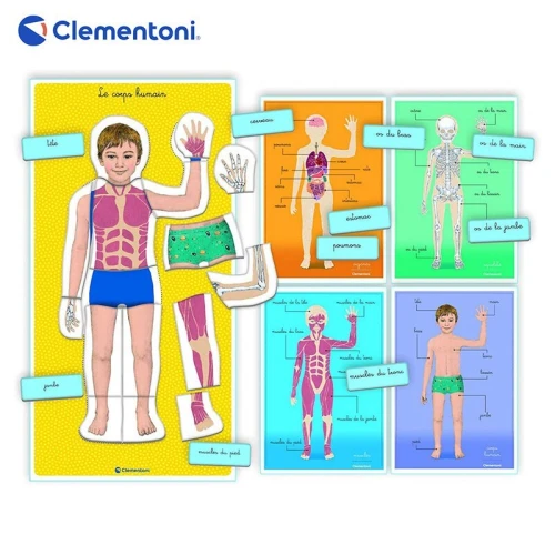 Le Corps Humain Montessori  Clementoni