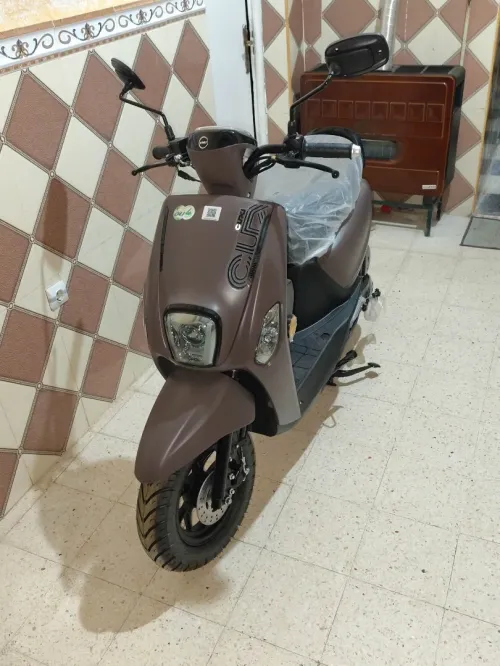 Cuxi Linhai 2 2026