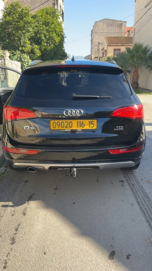 Audi Q5 2016 Off Road
