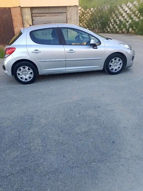 Peugeot 207 2012 Fennec