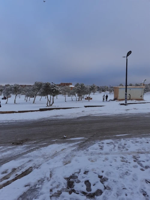 Vente Terrain Agricole El Bayadh El bayadh