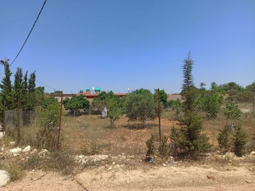 Vente bien immobilier Mostaganem Ain boudinar