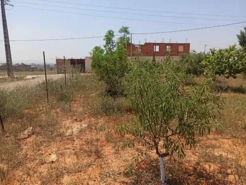 Vente bien immobilier Mostaganem Ain boudinar