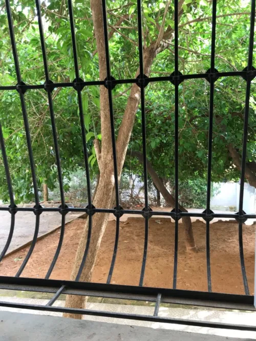 Vente Appartement F3 Alger Ain naadja 10