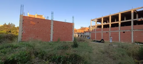 Vente Terrain Alger Tessala el merdja