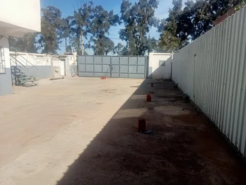 Location Hangar - Usine Alger Baraki