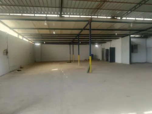 Location Hangar - Usine Alger Les eucalyptus