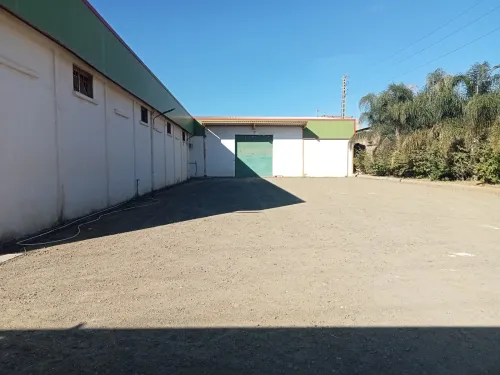 Location Hangar Blida Boufarik