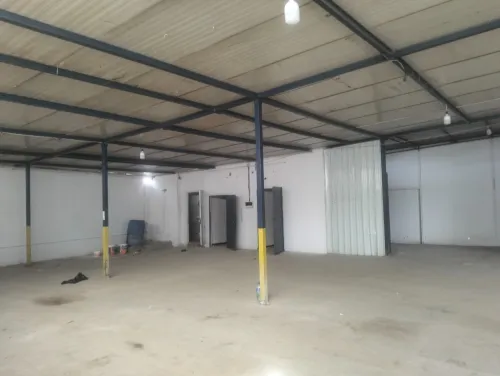 Location Hangar - Usine Alger Les eucalyptus