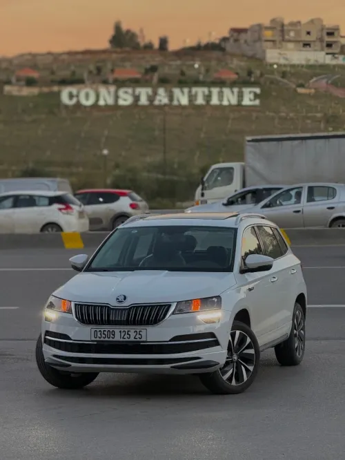 Skoda Karoq 2025 Karoq