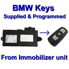BMW&MINI COOPER DIAGNOSTIC/REPARATION/PROGRAMMATION/CODAGE DES MODULES