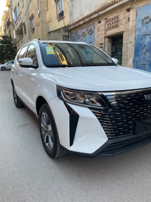 Geely Pro 2025 Tout option