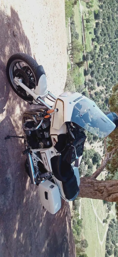 Honda Cbx 1999