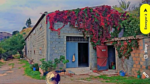 Vente Hangar - Usine Béjaïa Barbacha