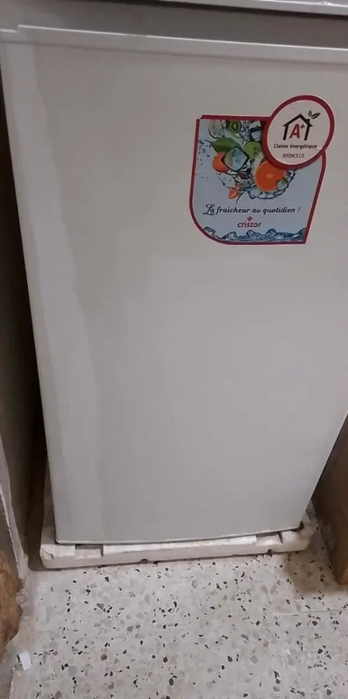 Frigo cristor 310.