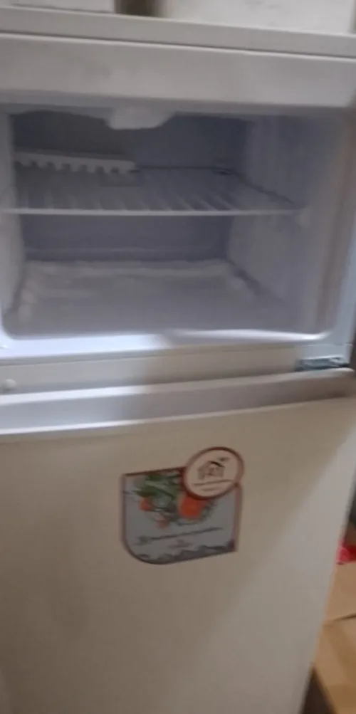 Frigo cristor 310.