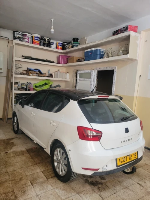 Seat Ibiza 2013 Ibiza