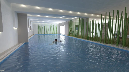 Vente Appartement Alger Cheraga