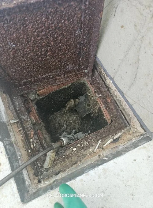 Service vidange débouchage canalisation nettoyage  تسريح المجاري وقنوات الصرف الصحي 