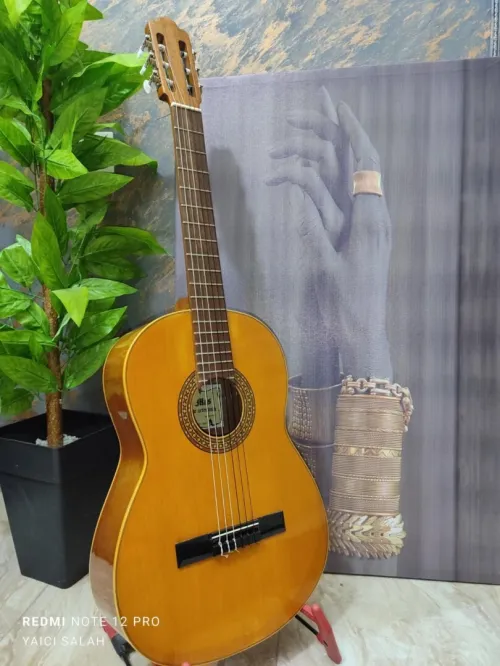 12 Guitares Classique