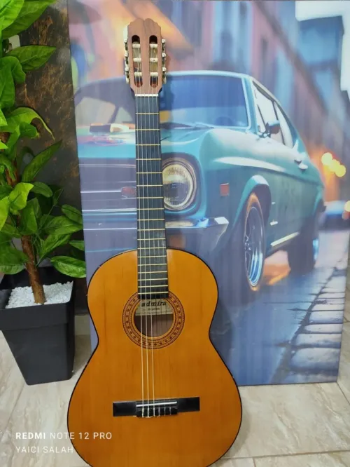 12 Guitares Classique