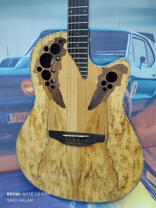 02 belles guitares Ovation