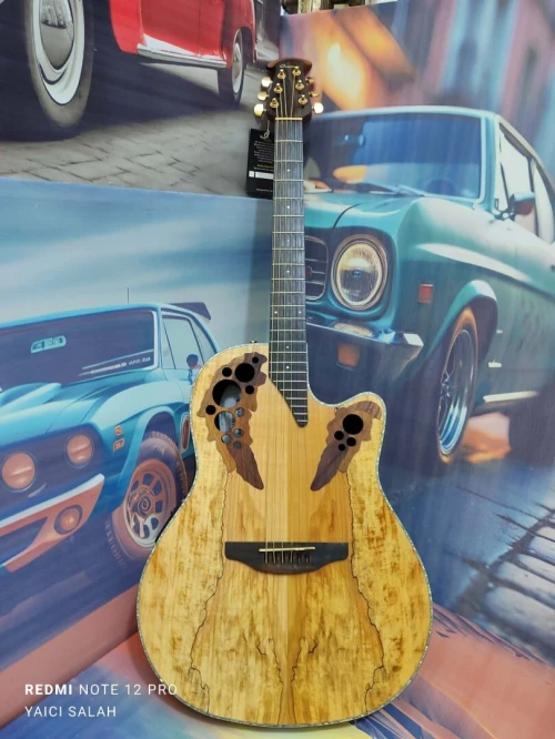 02 belles guitares Ovation