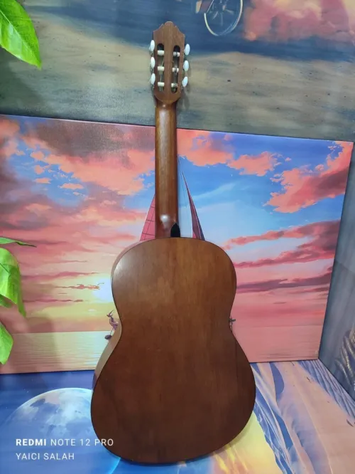 12 Guitares Classique