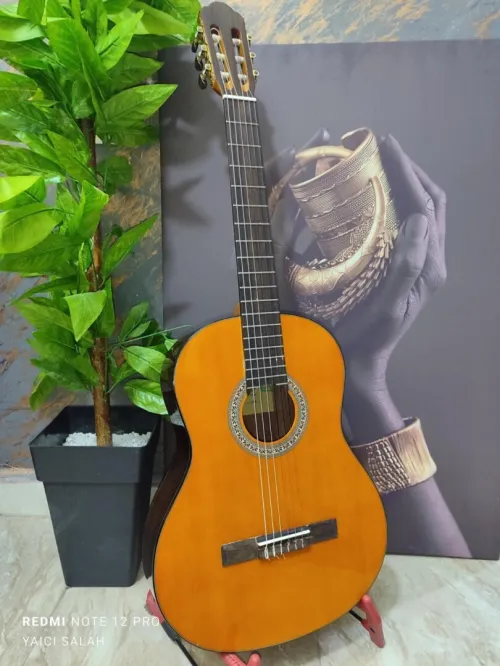 12 Guitares Classique