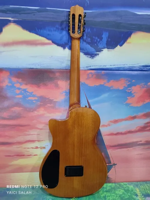  Guitare Cordoba stage electro-classique neuve avec sa housse.