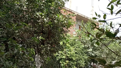 Vente Niveau De Villa F5 Alger Sidi moussa