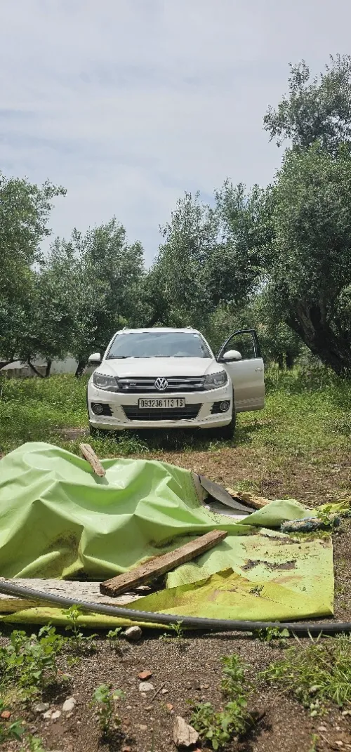Volkswagen Tiguan 2013 R-Line