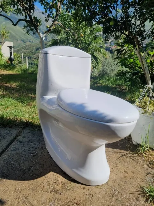 Toilette anglaise