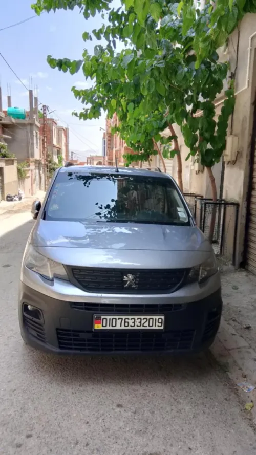 Peugeot Partner 2020 Partner