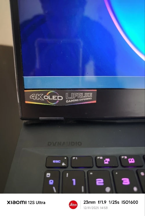Msi ge66 raider