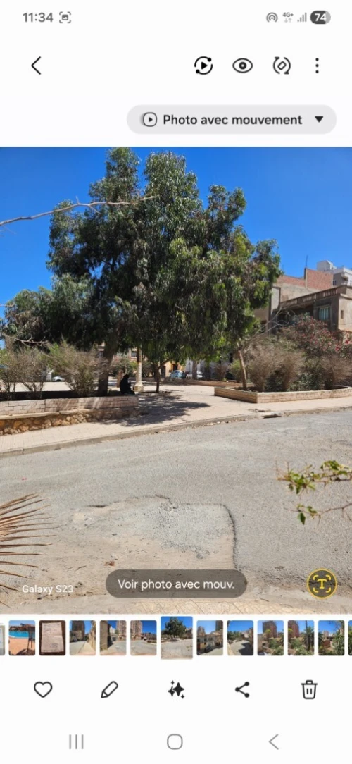 Vente Terrain Oran Oran