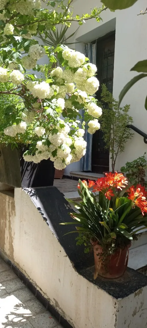 Vente Villa Ain defla Miliana