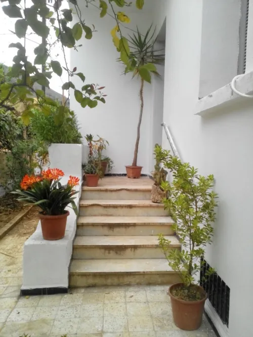 Vente Villa Ain defla Miliana