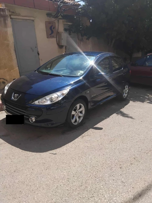 Peugeot 307 2006 Oxygo