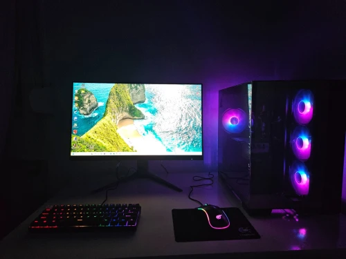 Pc gamer