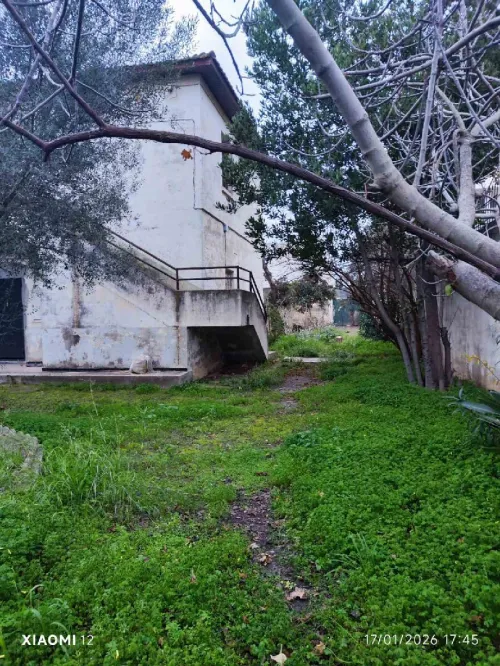 Vente Villa Alger Alger centre