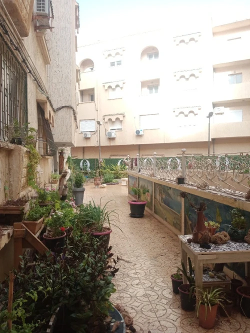 Location Appartement Alger Ain benian