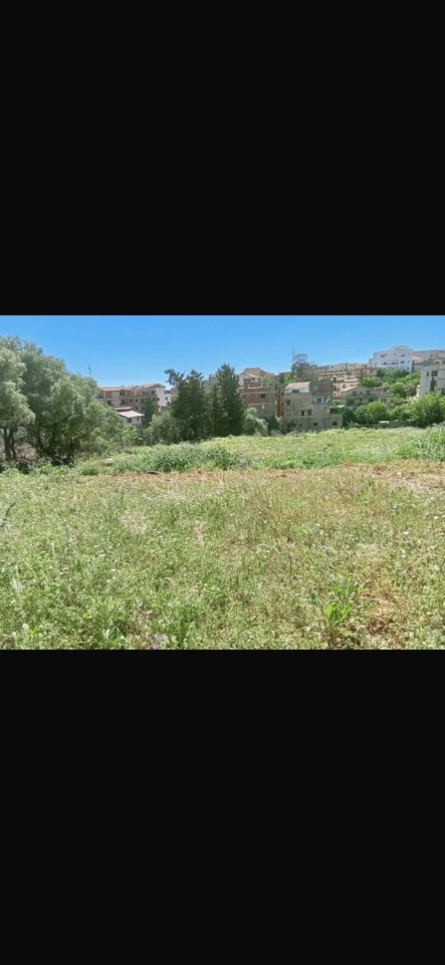 Vente Terrain Alger Draria