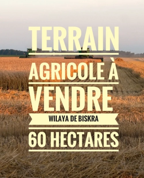 Vente Terrain Agricole Biskra Biskra