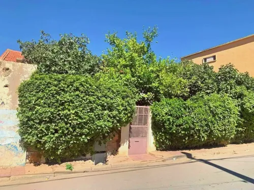 Vente Villa Tlemcen Tlemcen