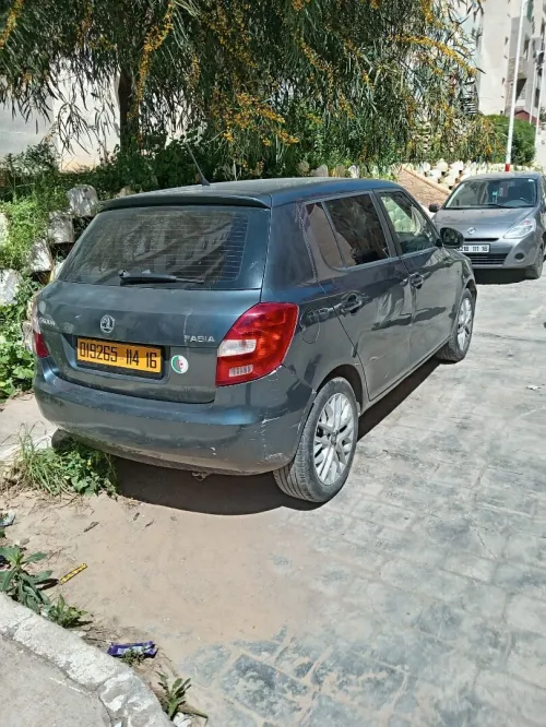 Skoda Fabia 2014 Fresh