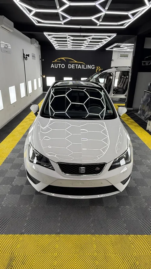 Seat Ibiza 2012 Ibiza