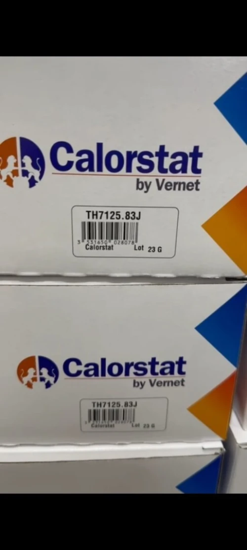 Thermostat 1.5 dci