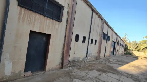 Vente Hangar - Usine Tlemcen Zenata