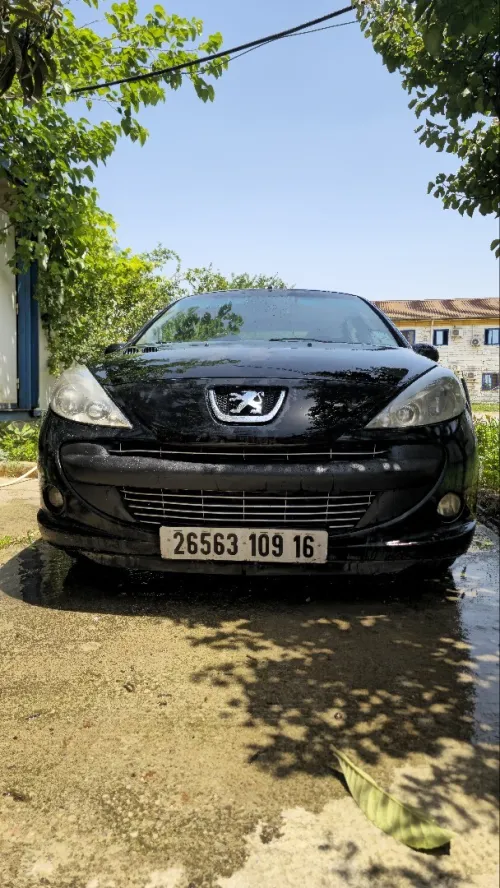 Peugeot 206 Plus 2009 206 Plus